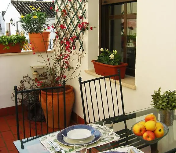 Penthouse Puerta De La Juderia *