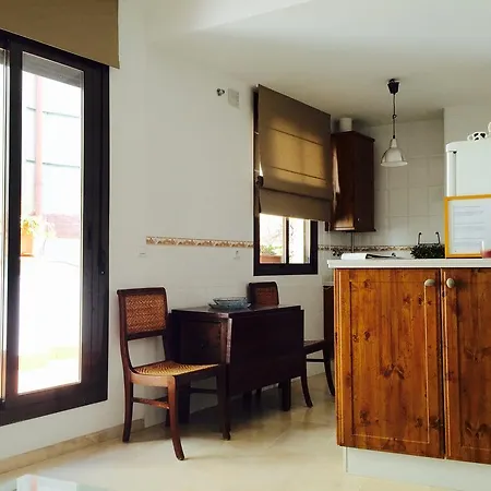 Daire Penthouse Puerta De La Juderia