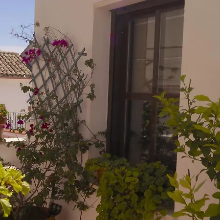 Penthouse Puerta De La Juderia