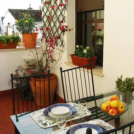 Penthouse Puerta De La Juderia *